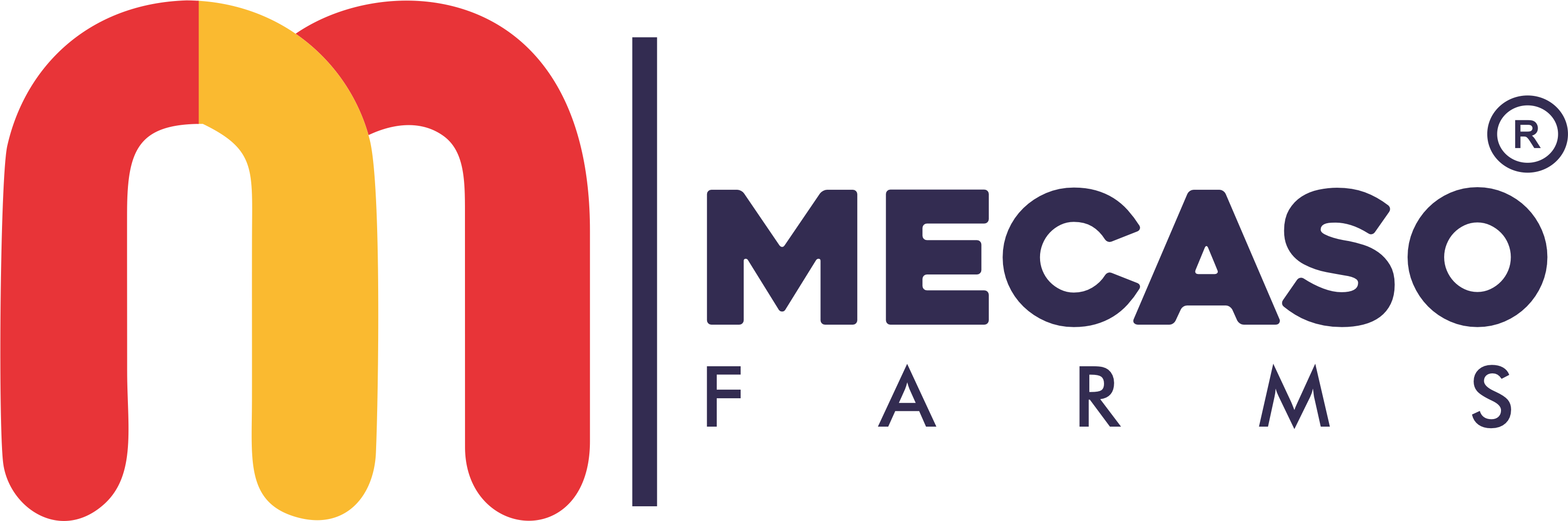 Welcome to Mecaso